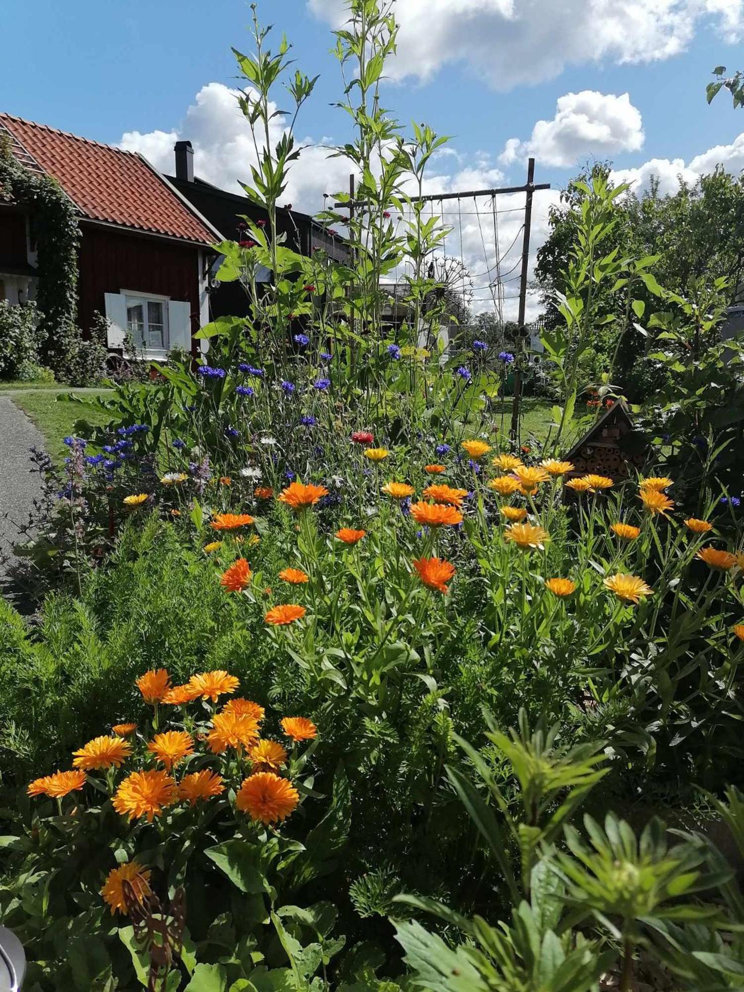 Rustik Stuga Med Lantlig Kaensla Naera Oerebro City Luaran gambar