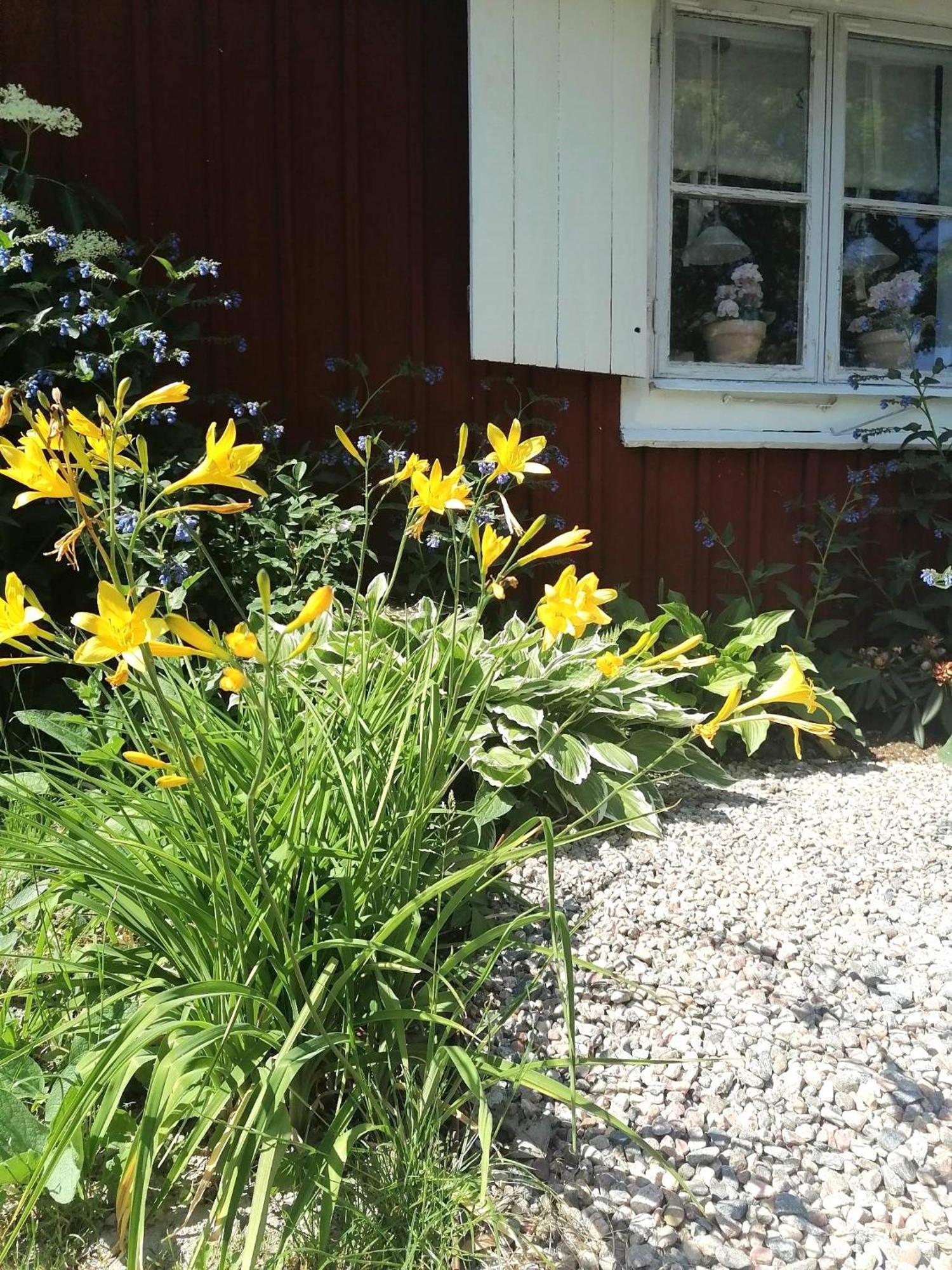 Rustik Stuga Med Lantlig Kaensla Naera Oerebro City Luaran gambar
